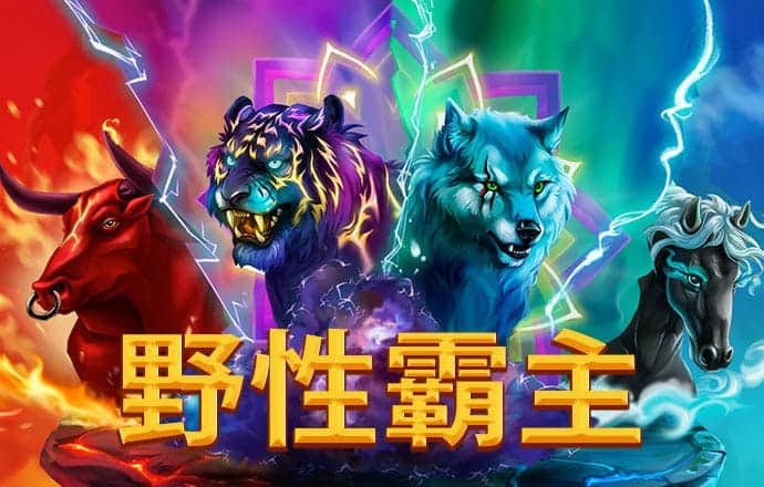 幻影体育登录入口